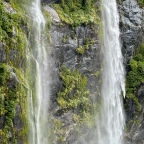 Te Anau and Milford Sounds:  Of Worms, Waterfalls, and Wonder